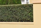 Viniferahard-landscaping-surfaces-8.jpg; ?>